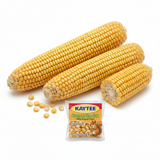 https://farmorganic.shop/products/kaytee-corn-on-the-cob-food-for-wild-squirrels-rabbits-chipmunks-and-other-backyard-wildlife-6-5-pound-pack-of-2