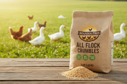 https://farmorganic.shop/products/manna-pro-all-flock-crumbles-crafted-with-probiotics-for-gut-health-digestion-16-protein-for-mixed-flocks-with-no-artificial-colors-or-flavors-crumbled-for-easy-feeding-8-lbs - https://www.farmorganic.shop