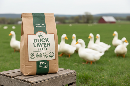 https://farmorganic.shop/products/new-country-organics-duck-layer-feed-adult-laying-duck-food-soy-free-17-protein-certified-organic-non-gmo-40-lbs