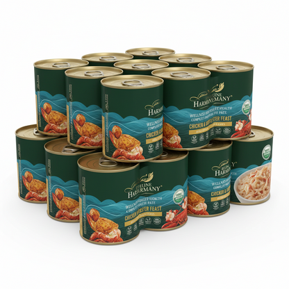https://farmorganic.shop/products/wellness-complete-health-pate-adult-wet-cat-food-natural-protein-rich-grain-free-12-5-ounce-12-pack-chicken-lobster https://farmorganic.shop/products/wellness-complete-health-pate-adult-wet-cat-food-natural-protein-rich-grain-free-12-5-ounce-12-pack-chicken-lobster