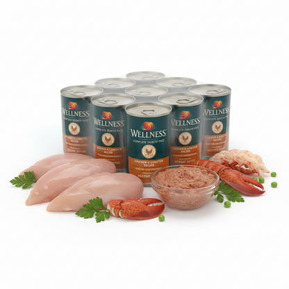 https://farmorganic.shop/products/wellness-complete-health-pate-adult-wet-cat-food-natural-protein-rich-grain-free-12-5-ounce-12-pack-chicken-lobster https://farmorganic.shop/products/wellness-complete-health-pate-adult-wet-cat-food-natural-protein-rich-grain-free-12-5-ounce-12-pack-chicken-lobster