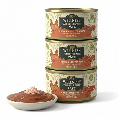 https://farmorganic.shop/products/wellness-complete-health-pate-adult-wet-cat-food-natural-protein-rich-grain-free-12-5-ounce-12-pack-chicken-lobster https://farmorganic.shop/products/wellness-complete-health-pate-adult-wet-cat-food-natural-protein-rich-grain-free-12-5-ounce-12-pack-chicken-lobster