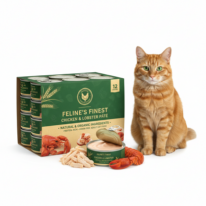 https://farmorganic.shop/products/wellness-complete-health-pate-adult-wet-cat-food-natural-protein-rich-grain-free-12-5-ounce-12-pack-chicken-lobster https://farmorganic.shop/products/wellness-complete-health-pate-adult-wet-cat-food-natural-protein-rich-grain-free-12-5-ounce-12-pack-chicken-lobster