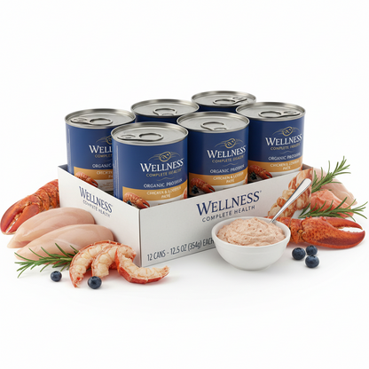https://farmorganic.shop/products/wellness-complete-health-pate-adult-wet-cat-food-natural-protein-rich-grain-free-12-5-ounce-12-pack-chicken-lobster https://farmorganic.shop/products/wellness-complete-health-pate-adult-wet-cat-food-natural-protein-rich-grain-free-12-5-ounce-12-pack-chicken-lobster