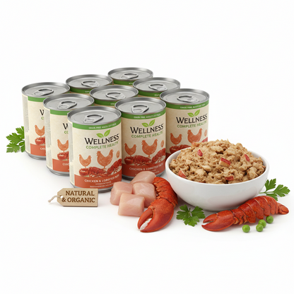 https://farmorganic.shop/products/wellness-complete-health-pate-adult-wet-cat-food-natural-protein-rich-grain-free-12-5-ounce-12-pack-chicken-lobster https://farmorganic.shop/products/wellness-complete-health-pate-adult-wet-cat-food-natural-protein-rich-grain-free-12-5-ounce-12-pack-chicken-lobster