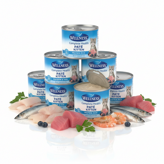 https://farmorganic.shop/products/wellness-complete-health-pate-kitten-wet-cat-food-canned-food-natural-protein-rich-grain-free-3-ounce-cans-24-pack-whitefish-tuna